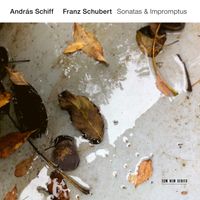 Andr&aacute;s Schiff - Franz Schubert: Sonatas & Impromptus