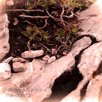 Teruyuki Kurihara - The Oblivion