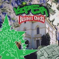 Viper - Business Checks