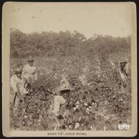 Royce da 5'9'' - Field Negro
