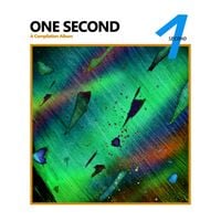 Various Artists - One Second: A Compilation Album