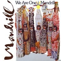 Mandrill - We Are One