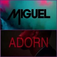 Miguel - Adorn