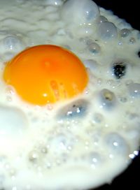 Lee Patterson - Egg Fry #2