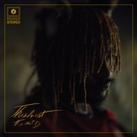 Thundercat - Fair Chance