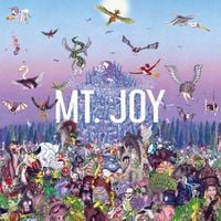 Mt. Joy - Acrobats
