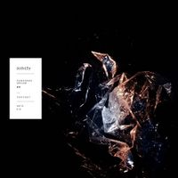 Fur Coat - Pandora's Dream