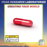 TRIAD RESEARCH LABORATORIES - Creating Your World