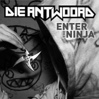 Die Antwoord - Enter the Ninja