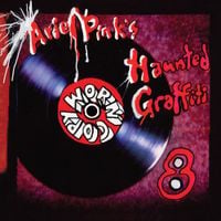 Ariel Pink's Haunted Graffiti - Worn Copy