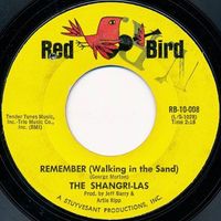 The Shangri-Las - Remember (Walkin' In The Sand)