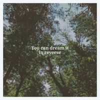 Black Tail - You Can Dream It in Reverse