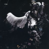 柏大輔 [Daisuke Kashiwa] - 5 Dec.