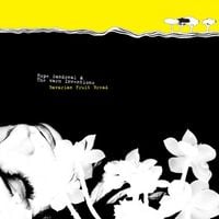 Hope Sandoval & The Warm Inventions - Bavarian Fruit Bread