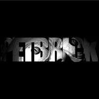 Petbrick - Pet Brick