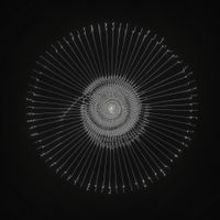 The Kite String Tangle - C()D3X