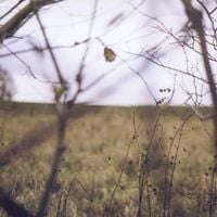 Hood - The Cycle of Days and Seasons