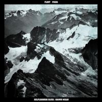 Fleet Foxes - Helplessness Blues