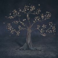AURORA - Conqueror