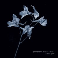 Prinzhorn Dance School - I Want You