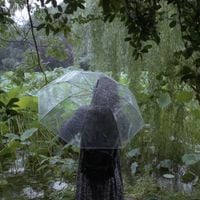 Celer - You And I Can't Ever Change