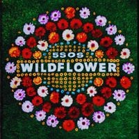 5 Seconds of Summer - Wildflower