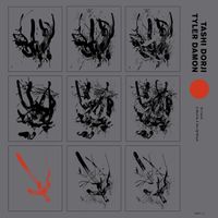 Tashi Dorji / Tyler Damon - To Catch a Bird in a Net of Wind