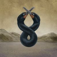 San Fermin - The Cormorant I & II