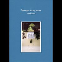 Sonicbrat - Stranger to My Room