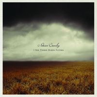 Adrian Crowley - I See Three Birds Flying