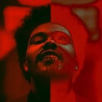 The Weeknd - Save Your Tears (OPN Remix)