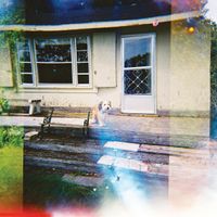 夕方の犬 [Dog in the Evening] - low temperature room