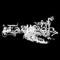 Tadleeh - Ego Will Collapse