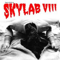 Rog&eacute;rio Skylab - Skylab VIII