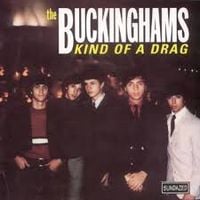 The Buckinghams - Kind of a Drag