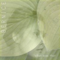 Bernice - What Was That