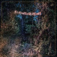 Eyelids - The Accidental Falls