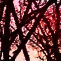 delcada - REGRETS I RECORDED