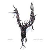 tētēma - Necroscape