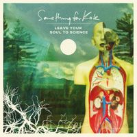 Something For Kate - Leave Your Soul to Science