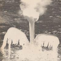 AnD - SSSPCR 004