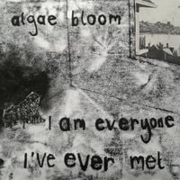 Algae Bloom - I Am Everyone I've Ever Met
