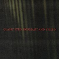 Iceage - Glassy Eyed, Dormant and Veiled