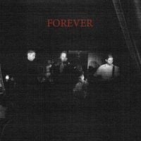 Iceage - Forever