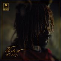 Thundercat - Innerstellar Love