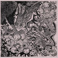 Gentle Stranger - Love And Unlearn