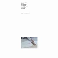 Félicia Atkinson - Everything Evaporate