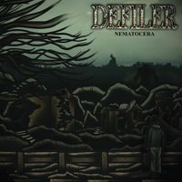 Defiler - Nematocera