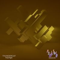 Thundercat - Final Fight