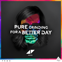 Avicii - Pure Grinding